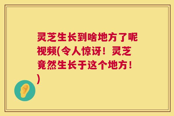 灵芝生长到啥地方了呢视频(令人惊讶！灵芝竟然生长于这个地方！)