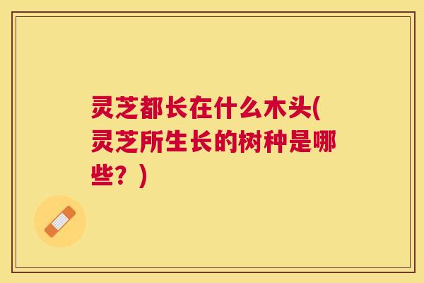 灵芝都长在什么木头(灵芝所生长的树种是哪些?) 灵芝都长在什么木头(灵芝所生长的树种是哪些?)