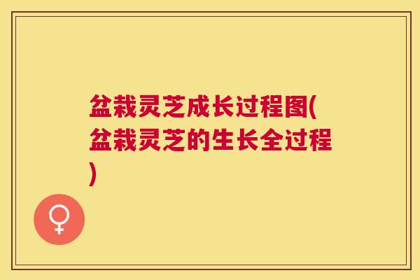 盆栽灵芝成长过程图(盆栽灵芝的生长全过程) 盆栽灵芝成长过程图(盆栽灵芝的生长全过程)