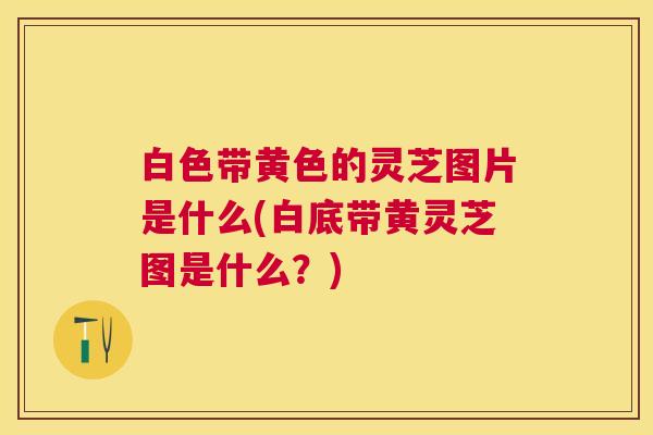 白色带黄色的灵芝图片是什么(白底带黄灵芝图是什么?) 白色带黄色的灵芝图片是什么(白底带黄灵芝图是什么?)