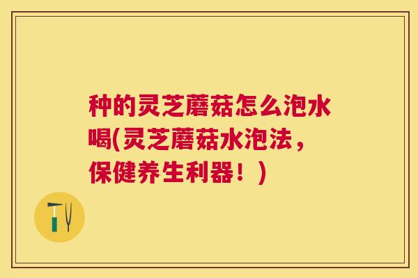 种的灵芝蘑菇怎么泡水喝(灵芝蘑菇水泡法，保健养生利器！)