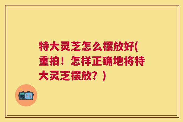 特大灵芝怎么摆放好(重拍！怎样正确地将特大灵芝摆放？)
