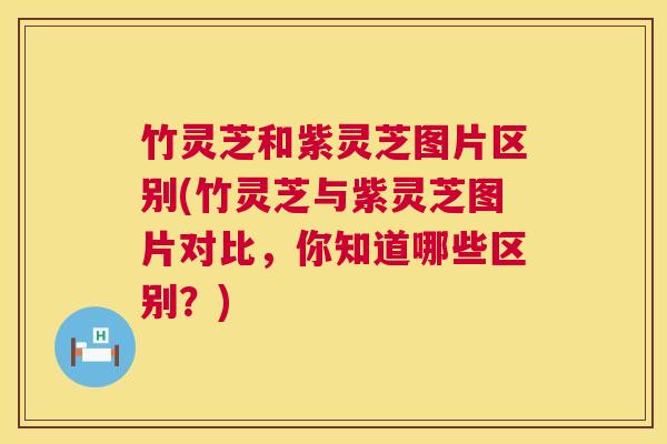 竹灵芝和紫灵芝图片区别(竹灵芝与紫灵芝图片对比,你知道哪些区别?) 竹灵芝和紫灵芝图片区别(竹灵芝与紫灵芝图片对比,你知道哪些区别?)