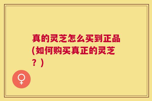 真的灵芝怎么买到正品(如何购买真正的灵芝？)