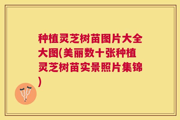 种植灵芝树苗图片大全大图(美丽数十张种植灵芝树苗实景照片集锦) 种植灵芝树苗图片大全大图(美丽数十张种植灵芝树苗实景照片集锦)