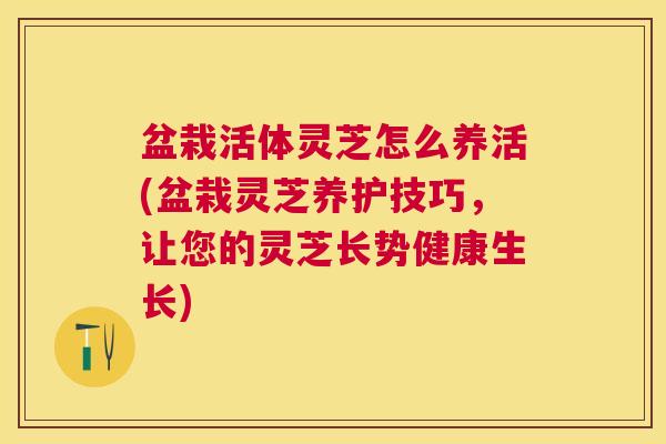 盆栽活体灵芝怎么养活(盆栽灵芝养护技巧,让您的灵芝长势健康生长) 盆栽活体灵芝怎么养活(盆栽灵芝养护技巧,让您的灵芝长势健康生长)