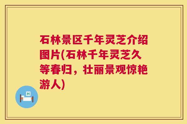 石林景区千年灵芝介绍图片(石林千年灵芝久等春归，壮丽景观惊艳游人)