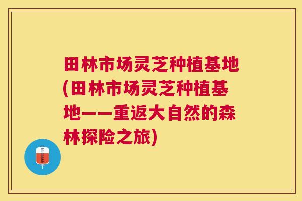 田林市场灵芝种植基地(田林市场灵芝种植基地——重返大自然的森林探险之旅) 田林市场灵芝种植基地(田林市场灵芝种植基地——重返大自然的森林探险之旅)