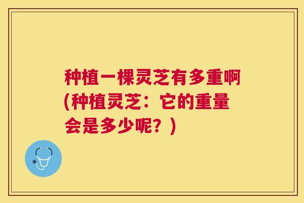 种植一棵灵芝有多重啊(种植灵芝：它的重量会是多少呢？)