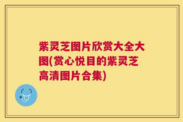 紫灵芝图片欣赏大全大图(赏心悦目的紫灵芝高清图片合集) 紫灵芝图片欣赏大全大图(赏心悦目的紫灵芝高清图片合集)