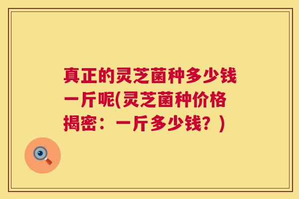 真正的灵芝菌种多少钱一斤呢(灵芝菌种价格揭密：一斤多少钱？)