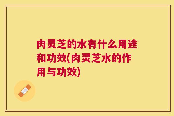 肉灵芝的水有什么用途和功效(肉灵芝水的作用与功效) 肉灵芝的水有什么用途和功效(肉灵芝水的作用与功效)