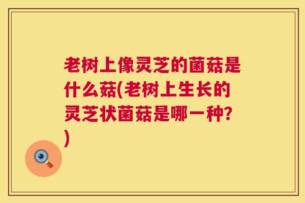 老树上像灵芝的菌菇是什么菇(老树上生长的灵芝状菌菇是哪一种？)