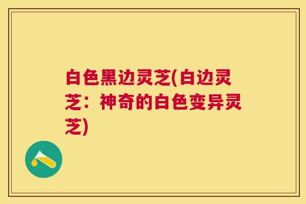 白色黑边灵芝(白边灵芝:神奇的白色变异灵芝) 白色黑边灵芝(白边灵芝:神奇的白色变异灵芝)