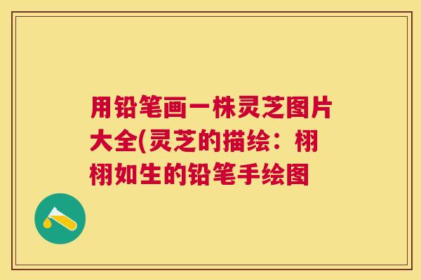 用铅笔画一株灵芝图片大全(灵芝的描绘：栩栩如生的铅笔手绘图