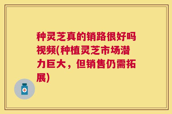 种灵芝真的销路很好吗视频(种植灵芝市场潜力巨大，但销售仍需拓展)