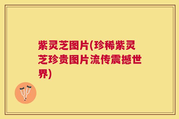 紫灵芝图片(珍稀紫灵芝珍贵图片流传震撼世界) 紫灵芝图片(珍稀紫灵芝珍贵图片流传震撼世界)
