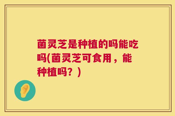 菌灵芝是种植的吗能吃吗(菌灵芝可食用，能种植吗？)