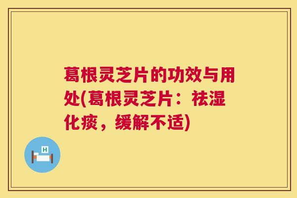 葛根灵芝片的功效与用处(葛根灵芝片：祛湿化痰，缓解不适)