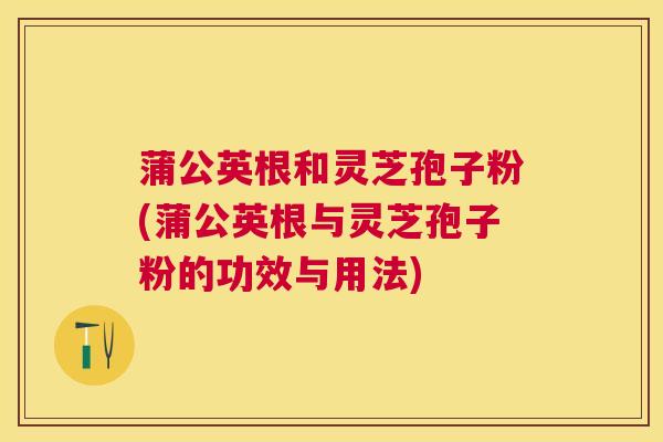 蒲公英根和灵芝孢子粉(蒲公英根与灵芝孢子粉的功效与用法)