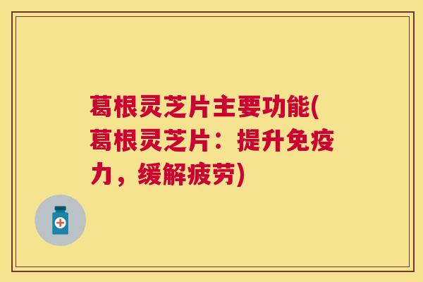 葛根灵芝片主要功能(葛根灵芝片：提升免疫力，缓解疲劳)