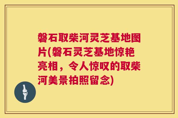 磐石取柴河灵芝基地图片(磐石灵芝基地惊艳亮相,令人惊叹的取柴河美景拍照留念) 磐石取柴河灵芝基地图片(磐石灵芝基地惊艳亮相,令人惊叹的取柴河美景拍照留念)