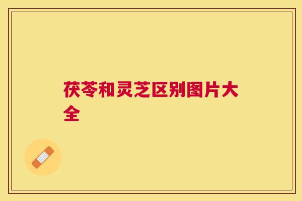 茯苓和灵芝区别图片大全
