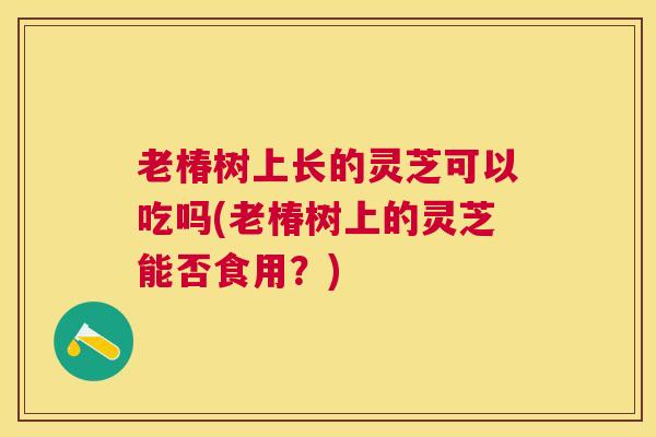 老椿树上长的灵芝可以吃吗(老椿树上的灵芝能否食用?) 老椿树上长的灵芝可以吃吗(老椿树上的灵芝能否食用?)