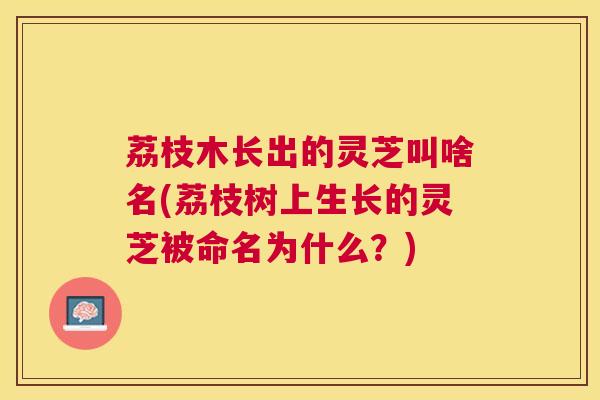 荔枝木长出的灵芝叫啥名(荔枝树上生长的灵芝被命名为什么?) 荔枝木长出的灵芝叫啥名(荔枝树上生长的灵芝被命名为什么?)