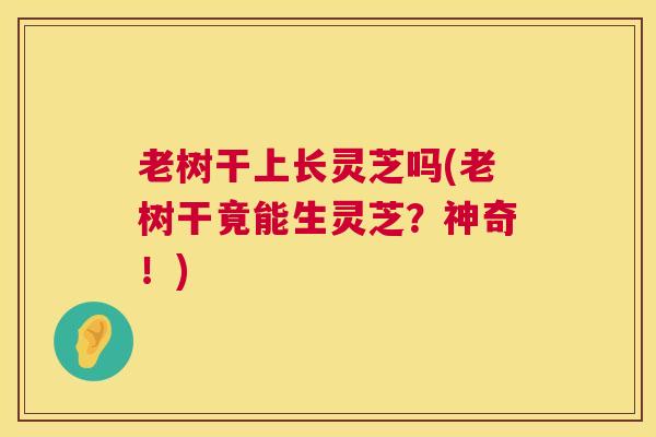 老树干上长灵芝吗(老树干竟能生灵芝？神奇！)