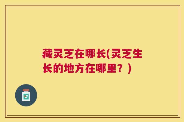 藏灵芝在哪长(灵芝生长的地方在哪里？)