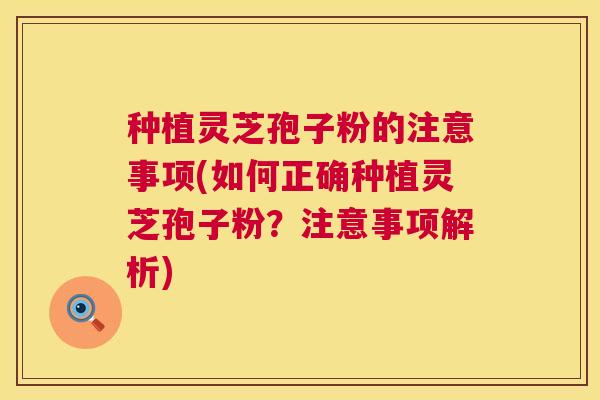 种植灵芝孢子粉的注意事项(如何正确种植灵芝孢子粉？注意事项解析)