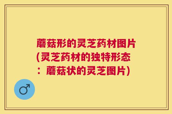 蘑菇形的灵芝药材图片(灵芝药材的独特形态:蘑菇状的灵芝图片) 蘑菇形的灵芝药材图片(灵芝药材的独特形态:蘑菇状的灵芝图片)