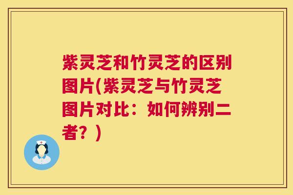 紫灵芝和竹灵芝的区别图片(紫灵芝与竹灵芝图片对比：如何辨别二者？)