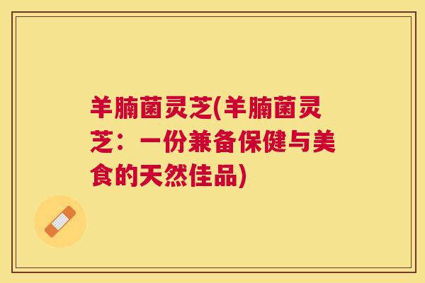 羊腩菌灵芝(羊腩菌灵芝：一份兼备保健与美食的天然佳品)