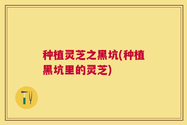 种植灵芝之黑坑(种植黑坑里的灵芝) 种植灵芝之黑坑(种植黑坑里的灵芝)