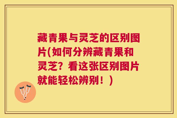 藏青果与灵芝的区别图片(如何分辨藏青果和灵芝?看这张区别图片就能轻松辨别!) 藏青果与灵芝的区别图片(如何分辨藏青果和灵芝?看这张区别图片就能轻松辨别!)