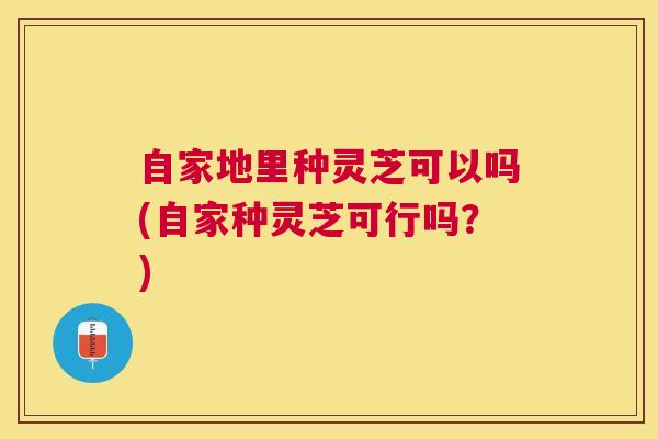 自家地里种灵芝可以吗(自家种灵芝可行吗?) 自家地里种灵芝可以吗(自家种灵芝可行吗?)