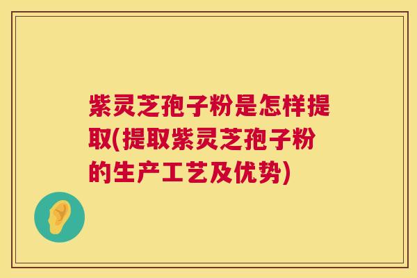 紫灵芝孢子粉是怎样提取(提取紫灵芝孢子粉的生产工艺及优势) 紫灵芝孢子粉是怎样提取(提取紫灵芝孢子粉的生产工艺及优势)