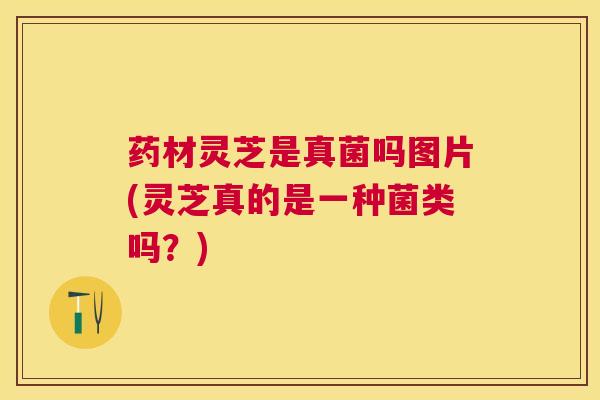 药材灵芝是真菌吗图片(灵芝真的是一种菌类吗?) 药材灵芝是真菌吗图片(灵芝真的是一种菌类吗?)