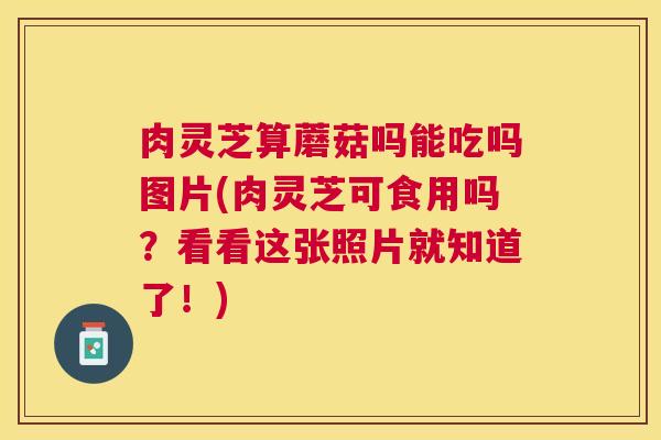 肉灵芝算蘑菇吗能吃吗图片(肉灵芝可食用吗?看看这张照片就知道了!) 肉灵芝算蘑菇吗能吃吗图片(肉灵芝可食用吗?看看这张照片就知道了!)
