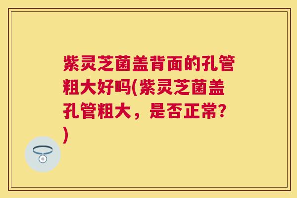 紫灵芝菌盖背面的孔管粗大好吗(紫灵芝菌盖孔管粗大，是否正常？)