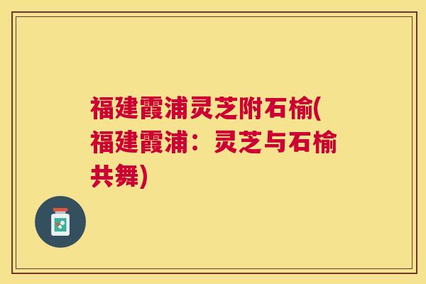 福建霞浦灵芝附石榆(福建霞浦:灵芝与石榆共舞) 福建霞浦灵芝附石榆(福建霞浦:灵芝与石榆共舞)