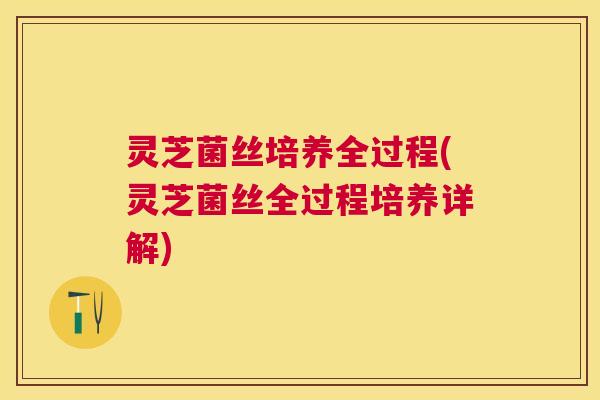 灵芝菌丝培养全过程(灵芝菌丝全过程培养详解)