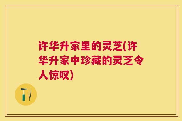 许华升家里的灵芝(许华升家中珍藏的灵芝令人惊叹) 许华升家里的灵芝(许华升家中珍藏的灵芝令人惊叹)