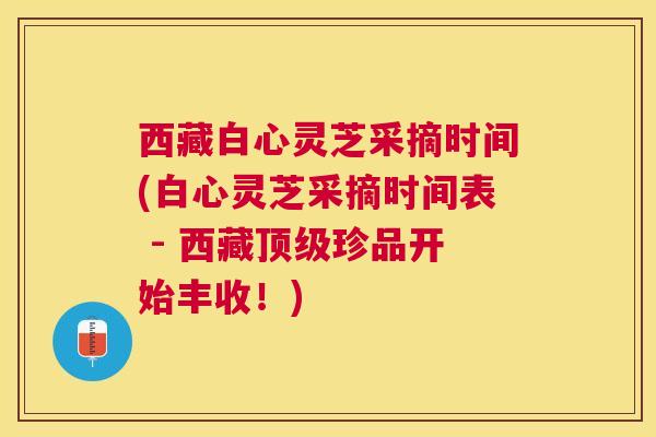 西藏白心灵芝采摘时间(白心灵芝采摘时间表 - 西藏珍品开始丰收!) 西藏白心灵芝采摘时间(白心灵芝采摘时间表 - 西藏珍品开始丰收!)