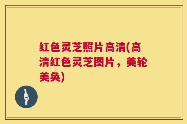 红色灵芝照片高清(高清红色灵芝图片，美轮美奂)