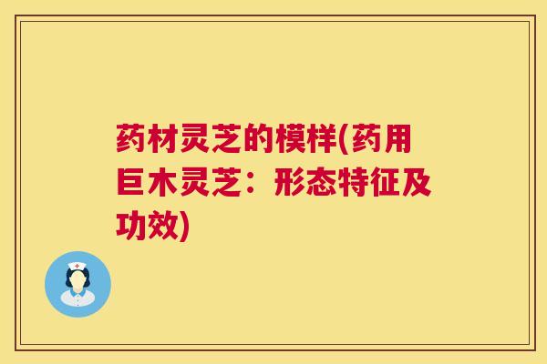 药材灵芝的模样(药用巨木灵芝:形态特征及功效) 药材灵芝的模样(药用巨木灵芝:形态特征及功效)