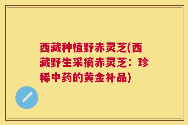 西藏种植野赤灵芝(西藏野生采摘赤灵芝：珍稀的黄金补品)