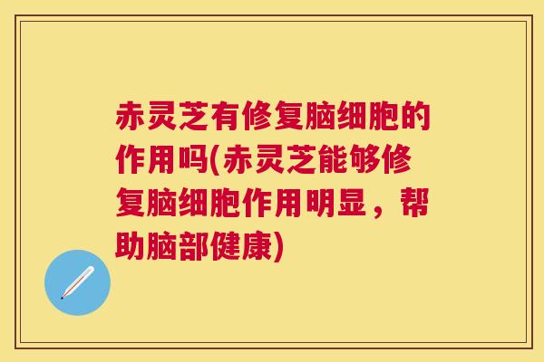 赤灵芝有修复脑细胞的作用吗(赤灵芝能够修复脑细胞作用明显,帮助脑部健康) 赤灵芝有修复脑细胞的作用吗(赤灵芝能够修复脑细胞作用明显,帮助脑部健康)